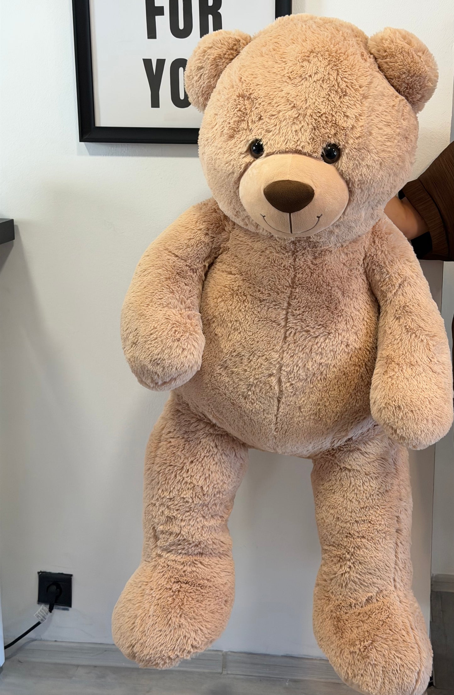 Peluche XXL